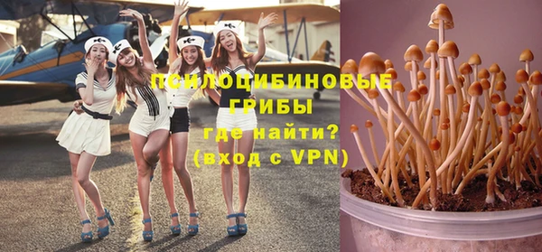 дживик Лихославль