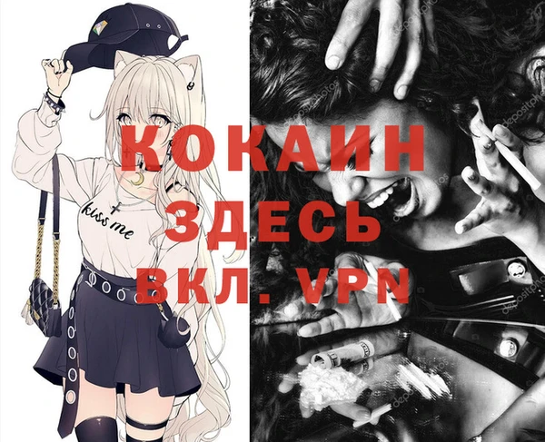 дживик Лихославль