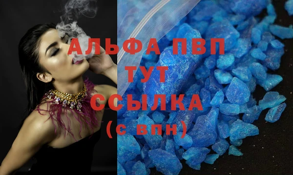 PSILOCYBIN Балабаново