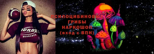 бошки Лиски