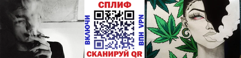 Конопля Amnesia  Партизанск 